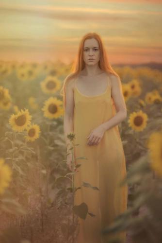 SunflowerKZ_001